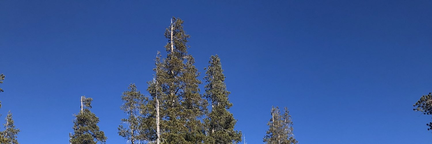 charmvg0705's profile banner image