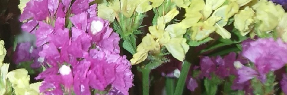 booandbee4's profile banner image