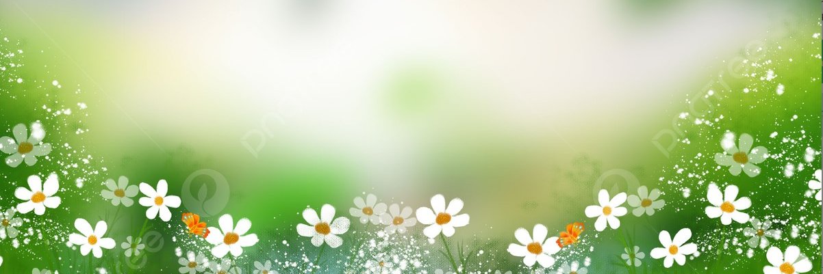 Wills Nisha banner