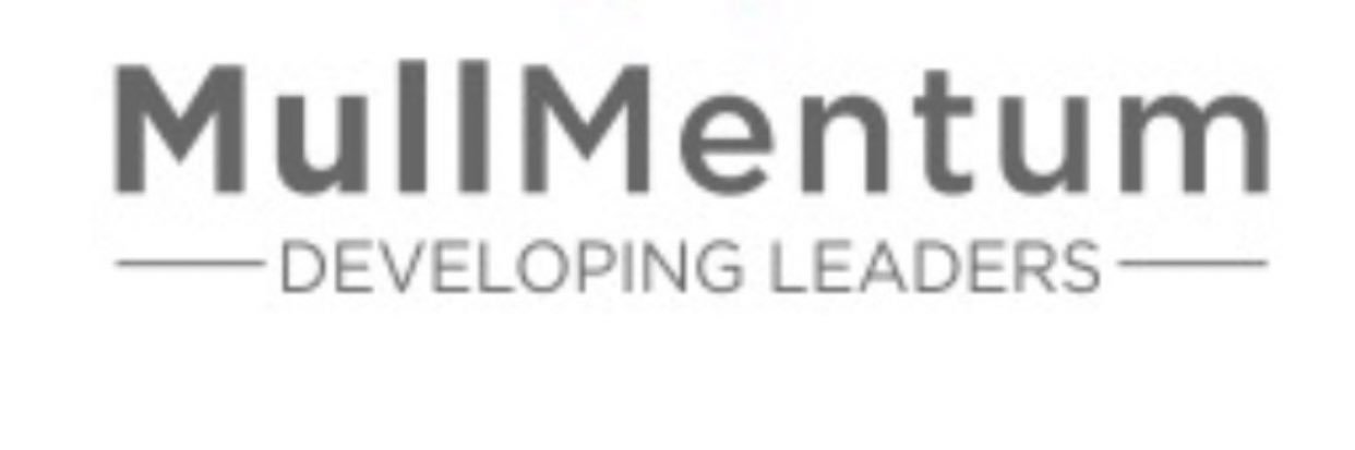 MullMentum Consulting, LLC banner