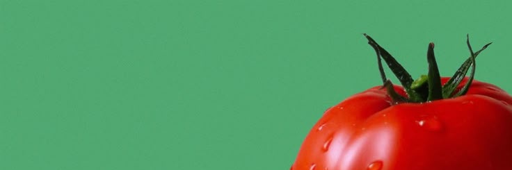 warmpeodle's profile banner image