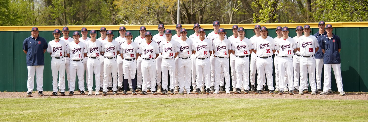 Dyersburg State Baseball banner