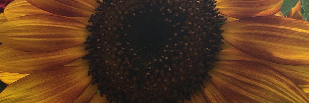 abi_gee's profile banner image