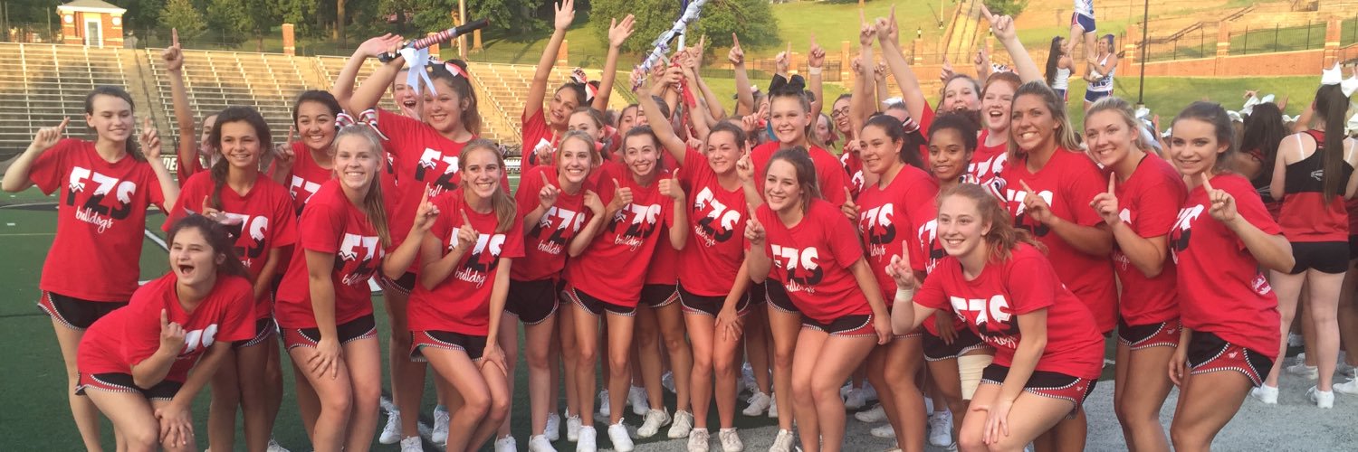FZSCheer's profile banner image