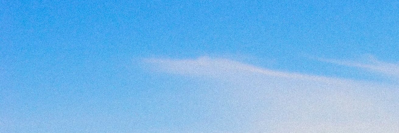 🌰 banner