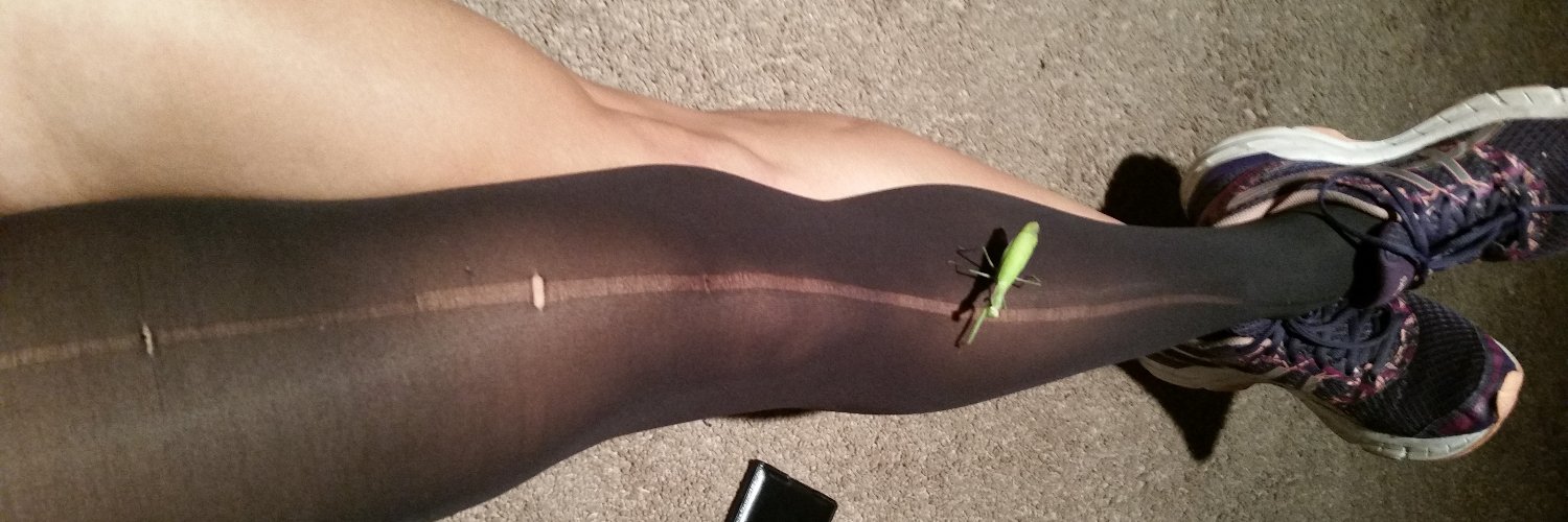 🕊️Gullivette🪶 banner