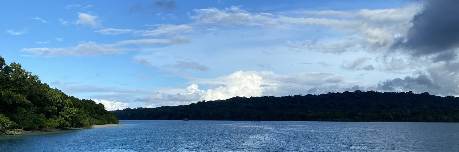 Rythaameliaf's profile banner image