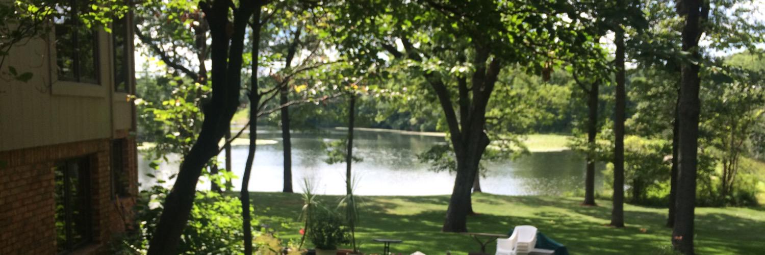 Alexisprime's profile banner image