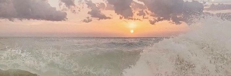 larinecastro's profile banner image