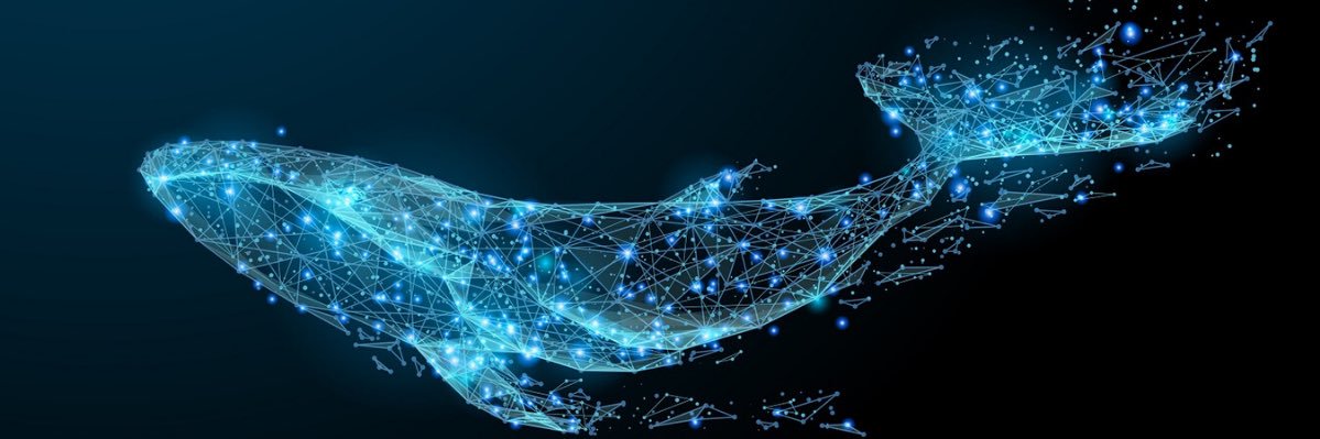 cryptogenius_ea's profile banner image