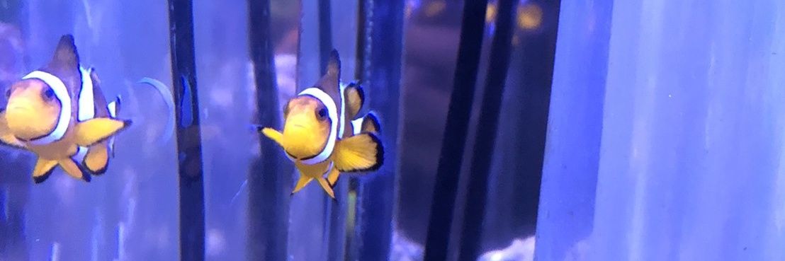Take.Mon banner