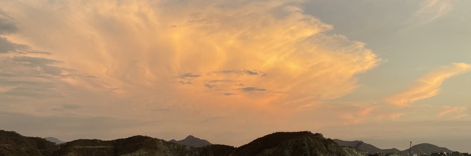 LOCOPLAYAPERRAS's profile banner image
