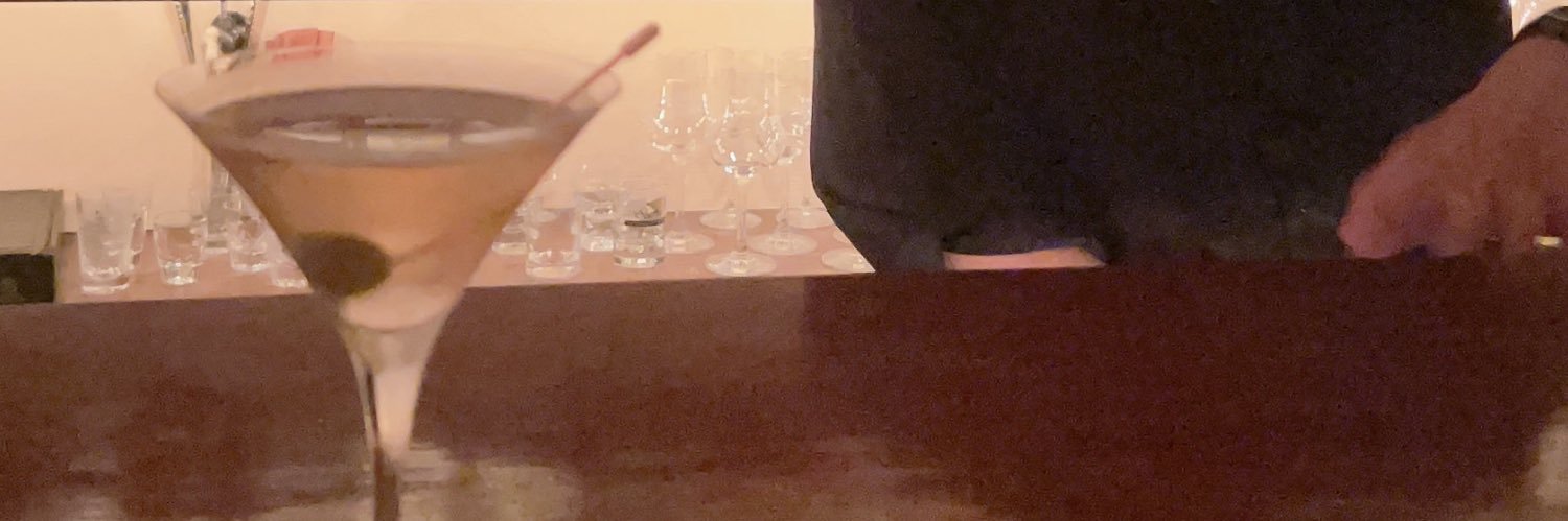 蛇の人(hitorimi) banner