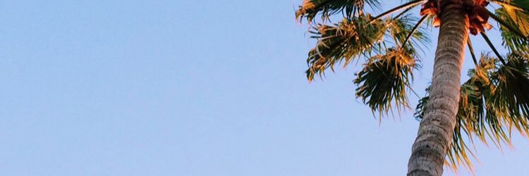 sofihallqvist's profile banner image