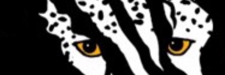 NJCheetahs's profile banner image