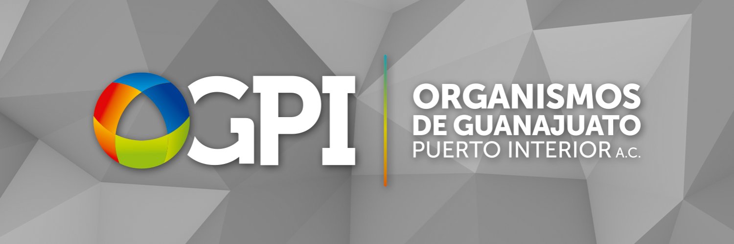 Organismos de Guanajuato Puerto Interior A.C. banner