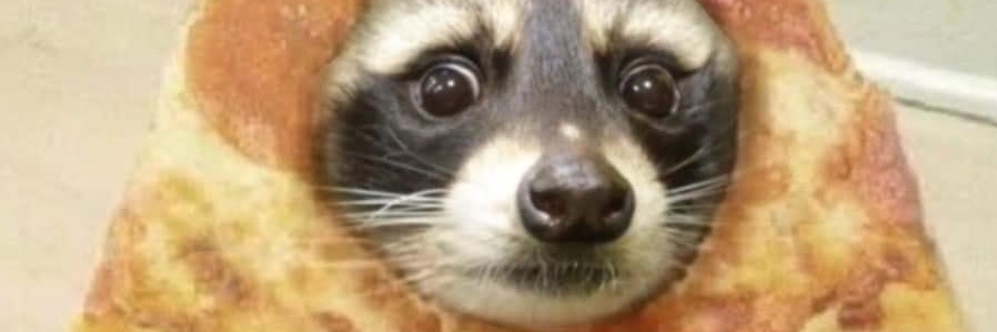 TardTomato's profile banner image