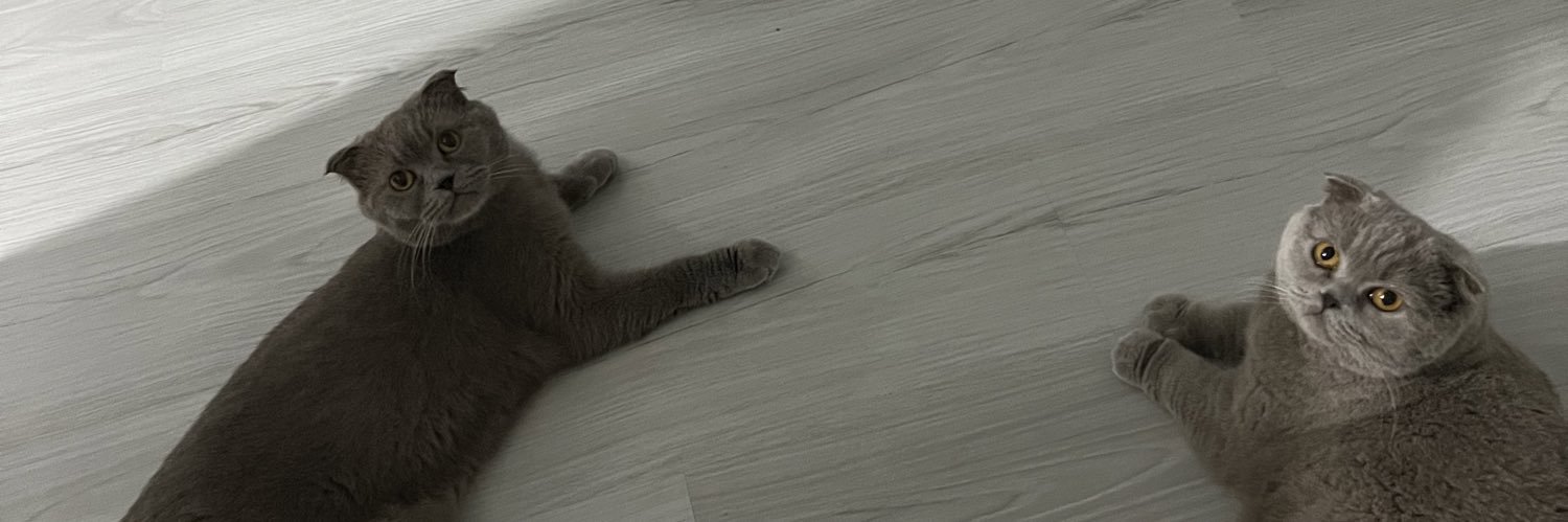 NBozdogannn's profile banner image