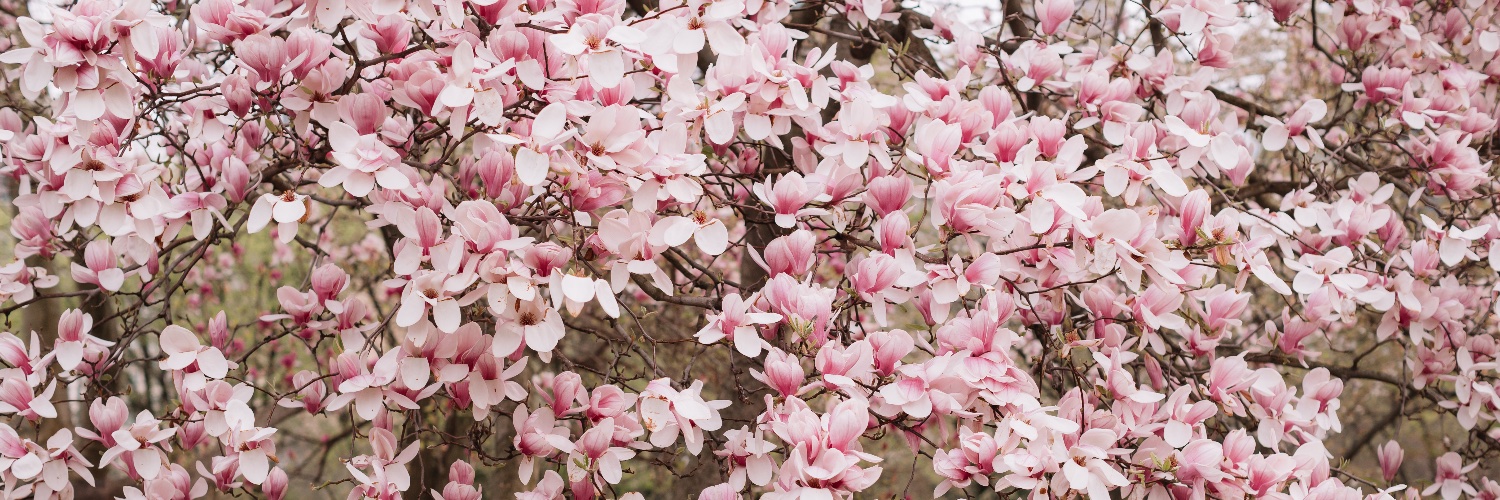 Best Drexel RA ever banner