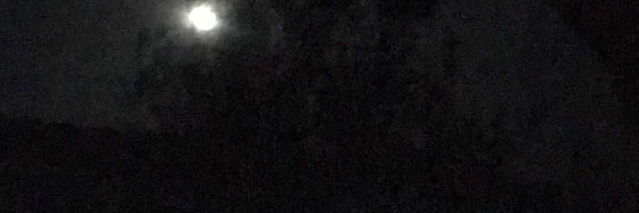 Sugarrush .NYAN🔫😼 ❤️ Xally banner