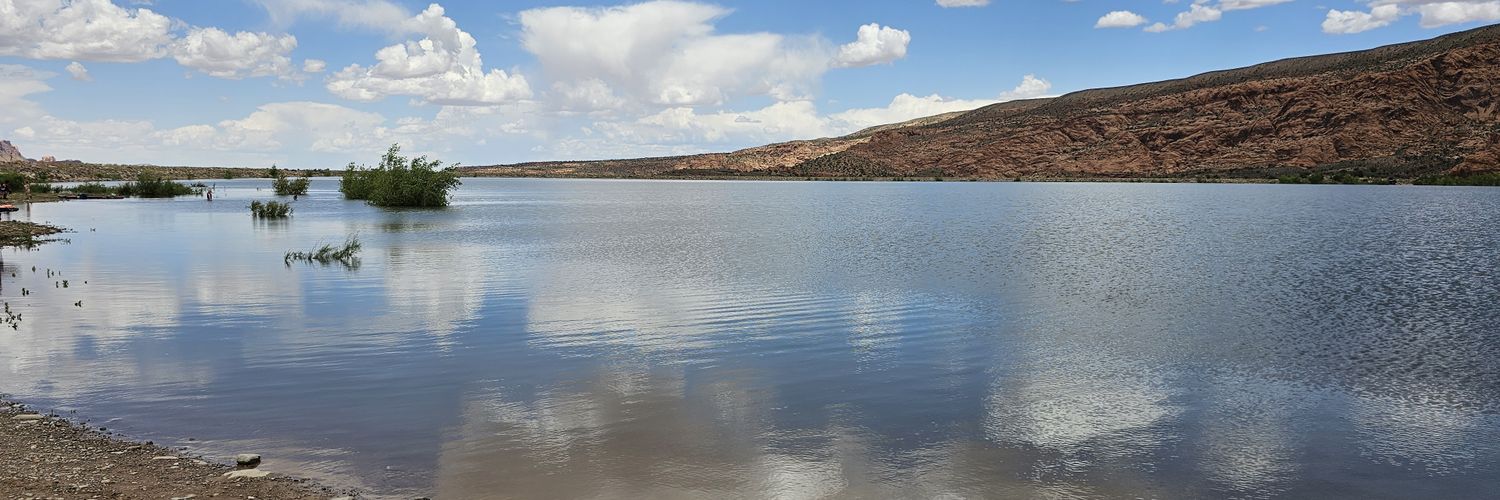 basedFishTaco banner