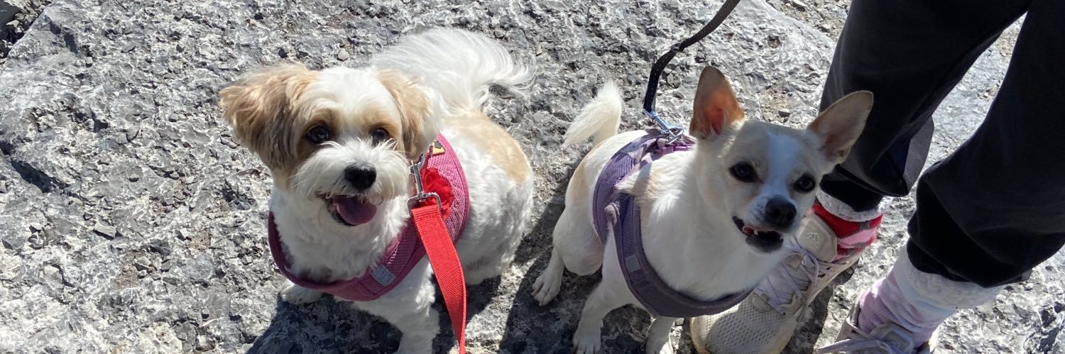 james blake updates || JAMES7 IS OUT banner