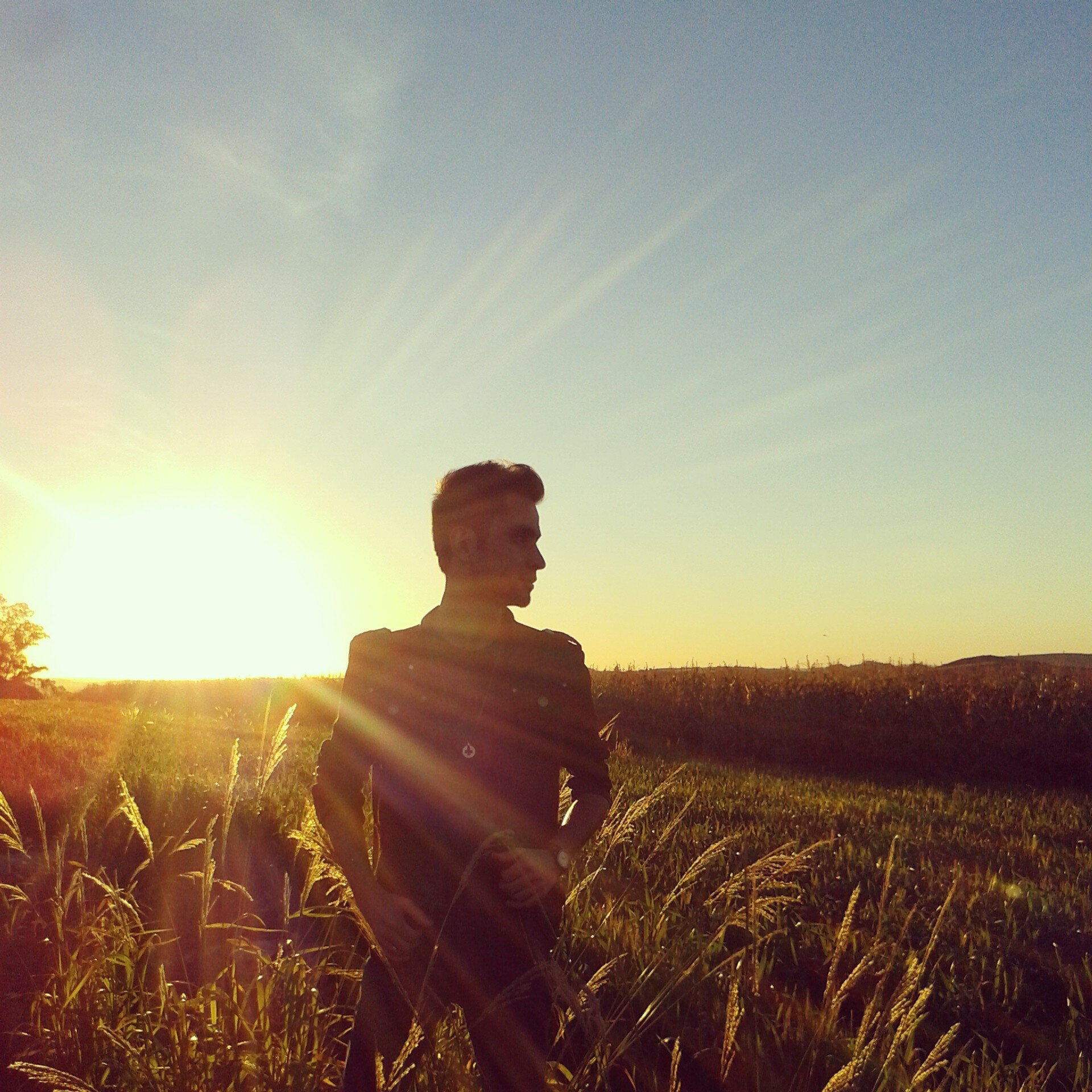 vinnilopz's profile banner image