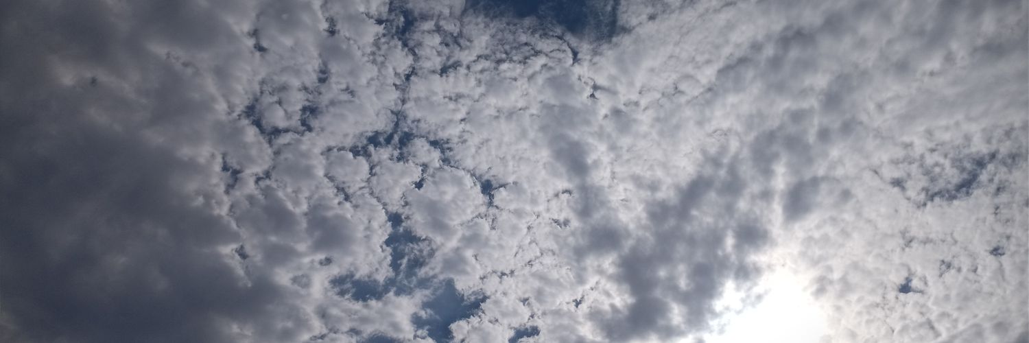 _ally02's profile banner image