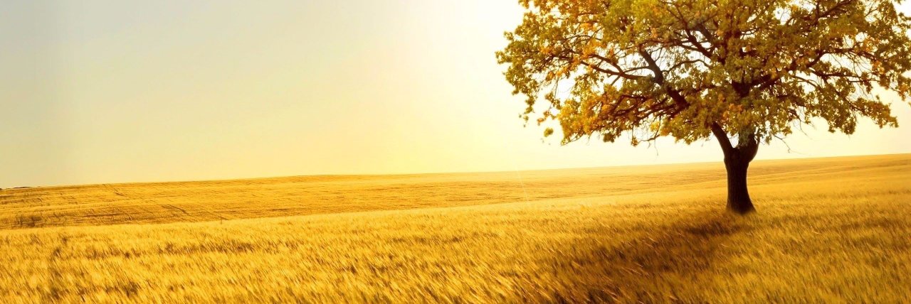 TheEmpathsCafe's profile banner image