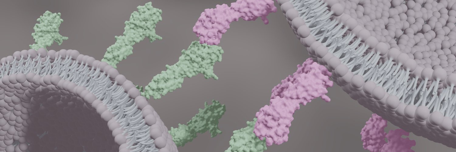 Franziska Ragaller banner