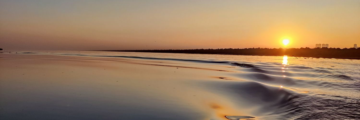 Badri Chatterjee banner