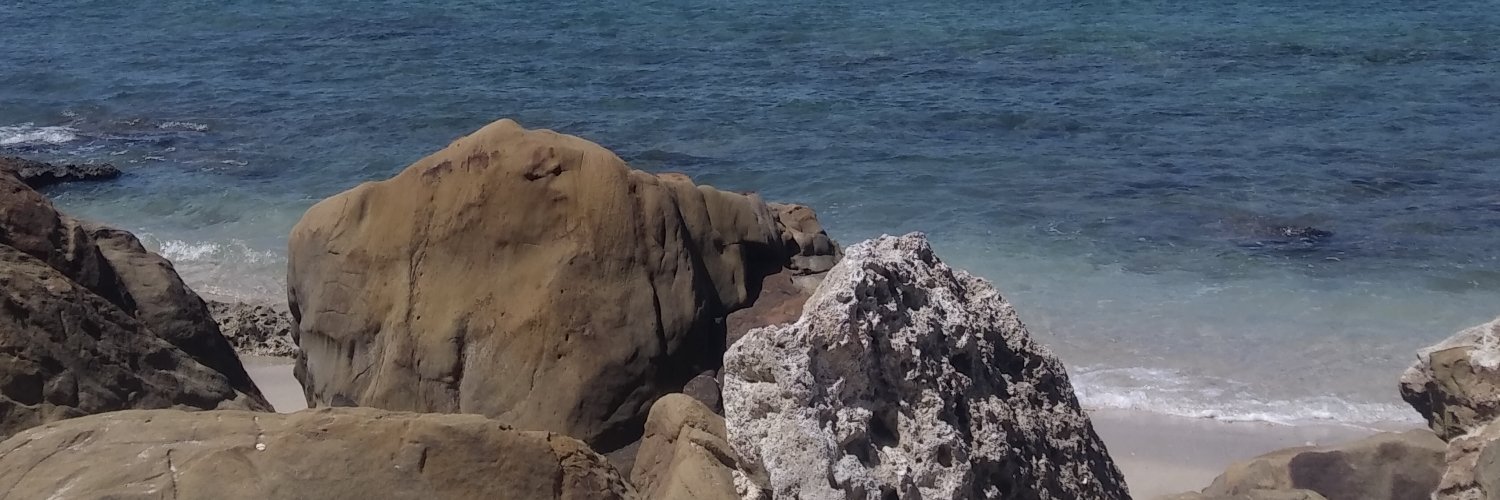 CarrisaMalik's profile banner image