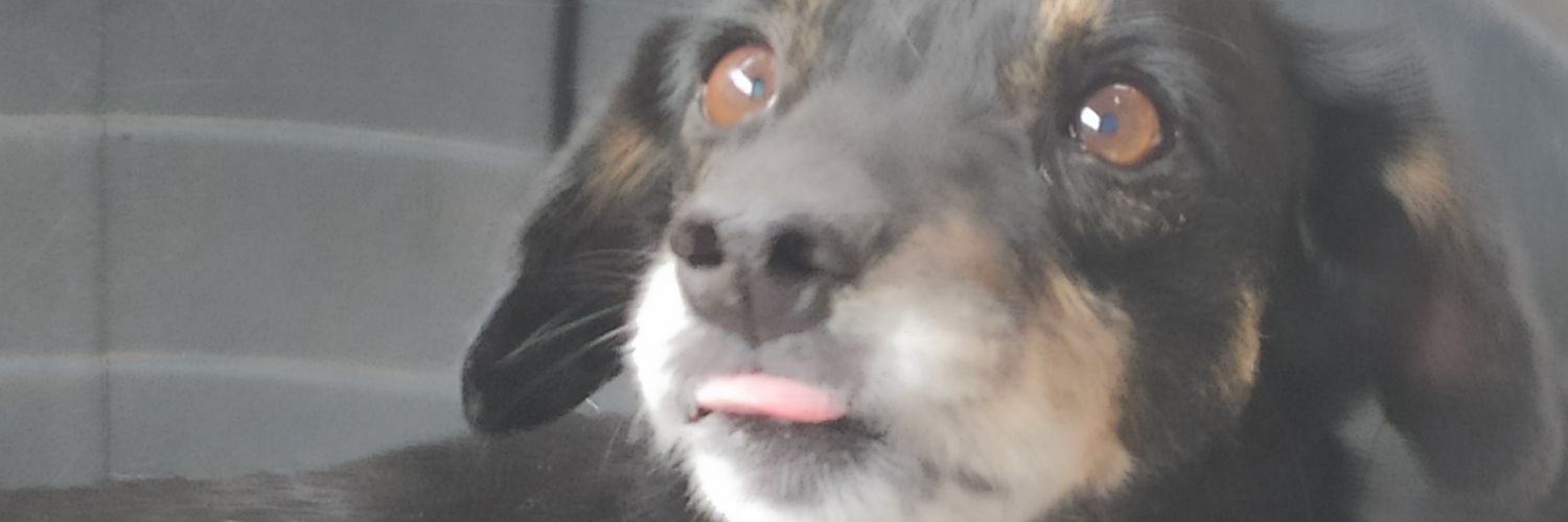 Joa_andrad's profile banner image
