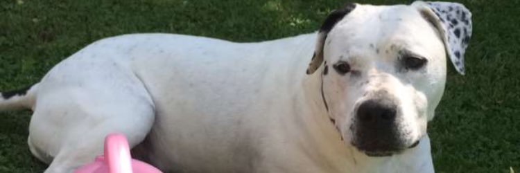 ProfEJFerris's profile banner image