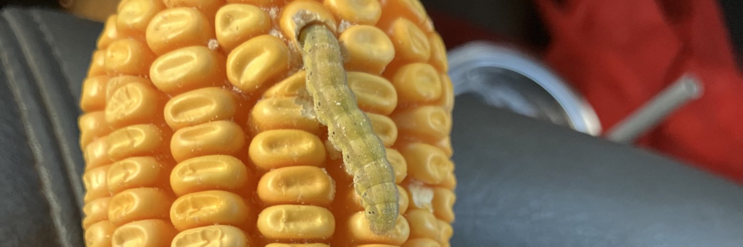 No Blue CheckMARK banner