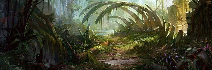 AlloFragilis's profile banner image