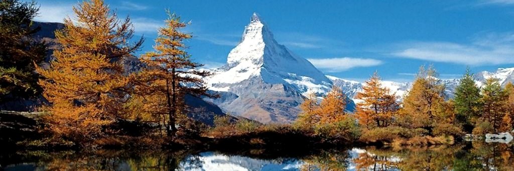 wilsonmead's profile banner image