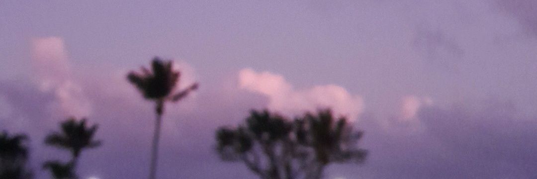 Sleepybear567's profile banner image