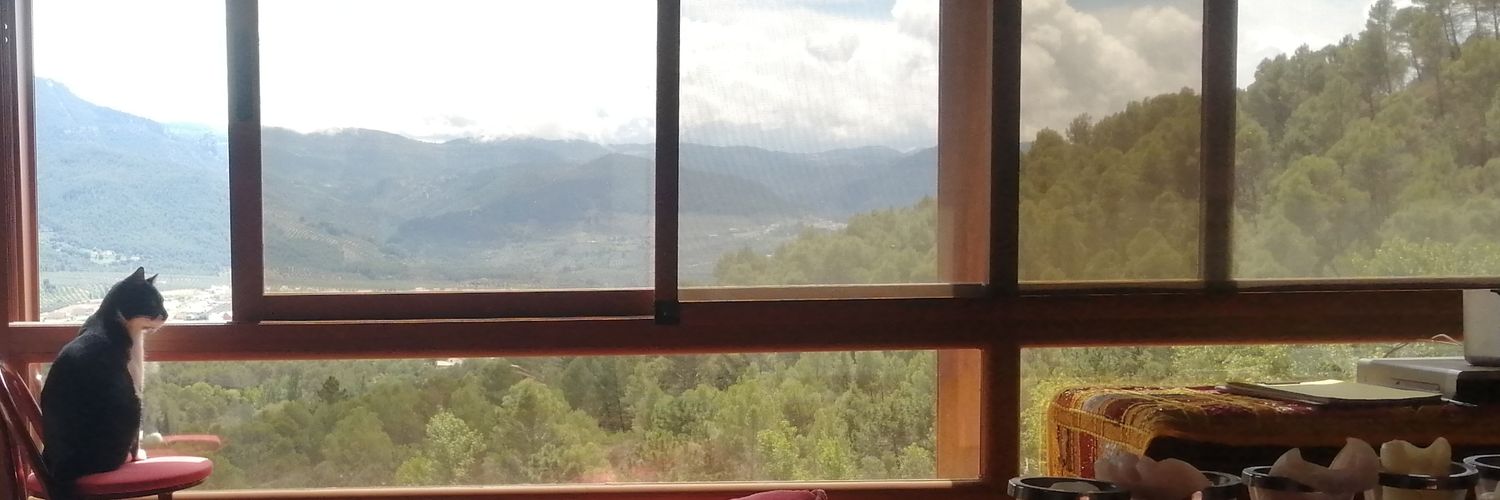 Leansur's profile banner image