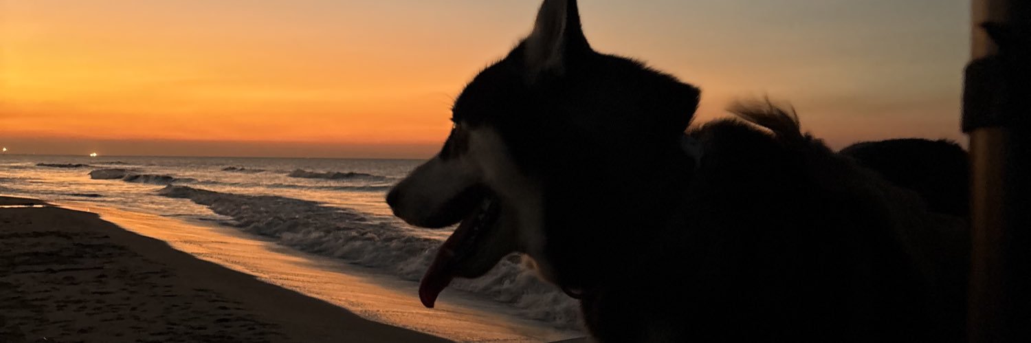 nathhramoss's profile banner image