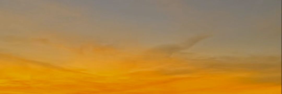 Blueberry banner