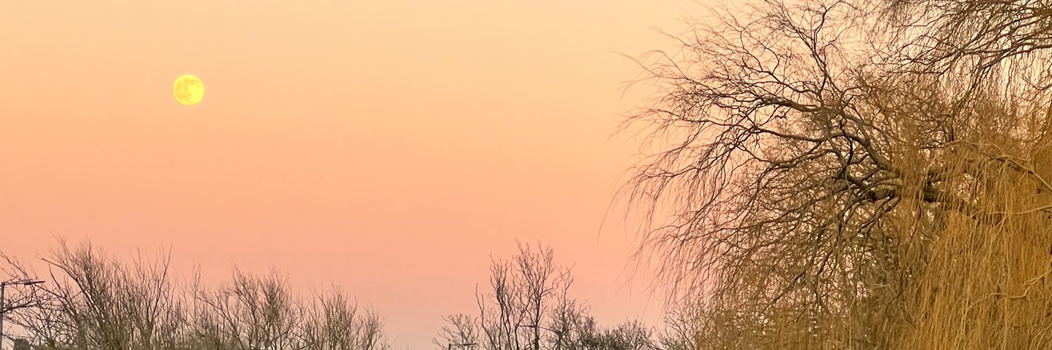 _millyv_'s profile banner image