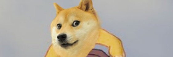 Dogeschmoge banner