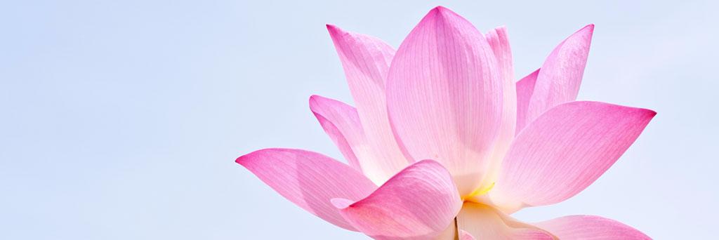 NaMuthuKrishnan's profile banner image
