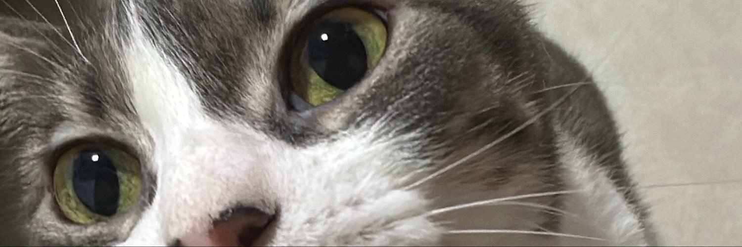 Im_gabyp_'s profile banner image