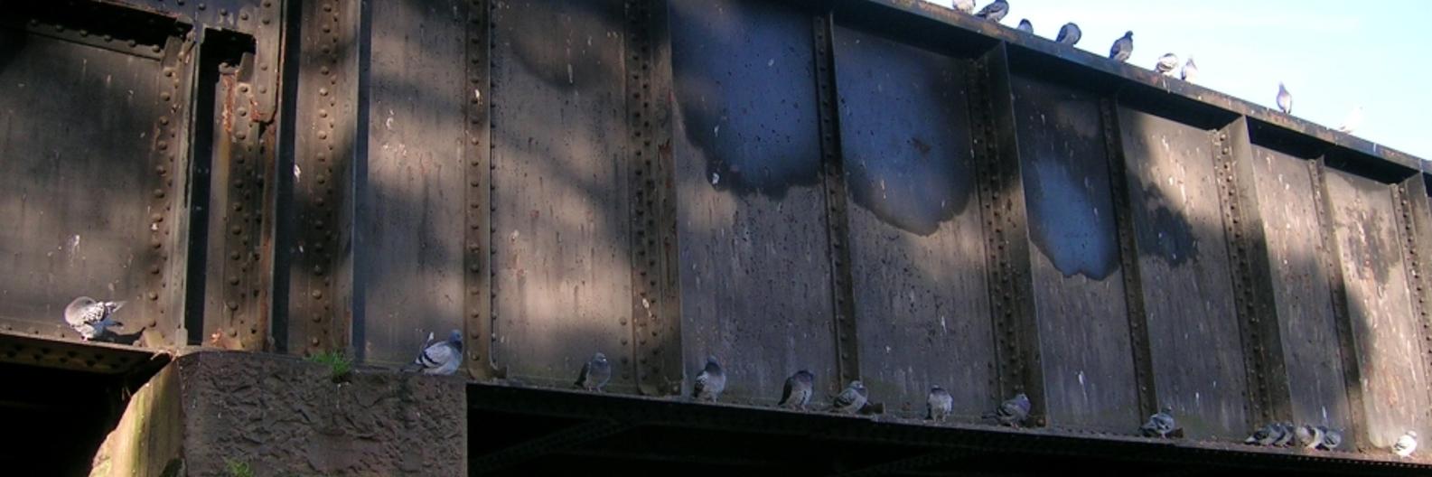 Breviary Stuff banner