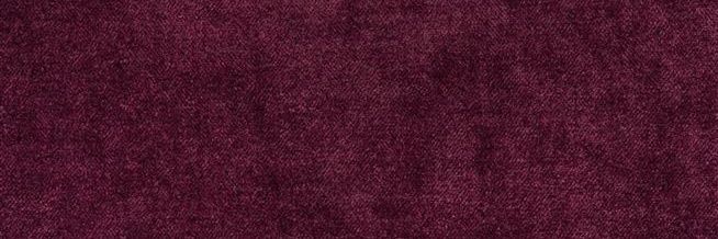 cece banner