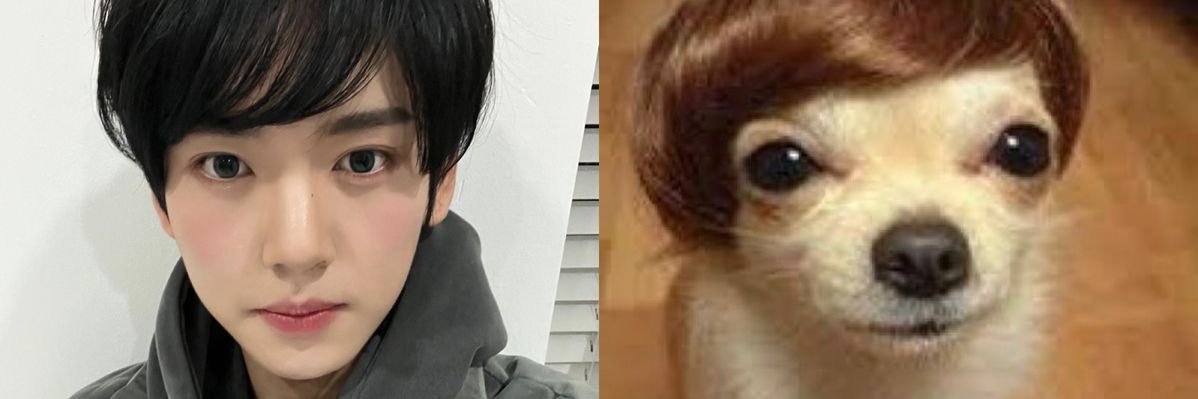 mingamandyyo's profile banner image