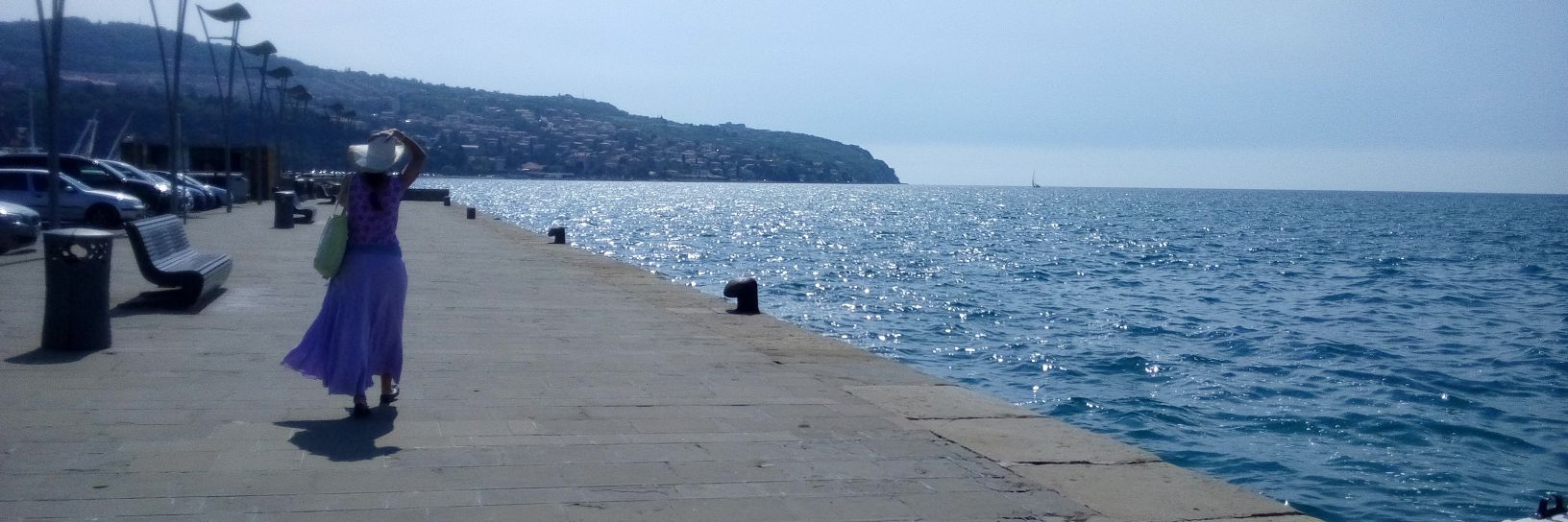 strange_didi's profile banner image