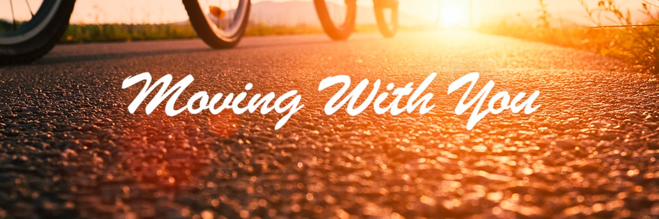 Skyways Group banner